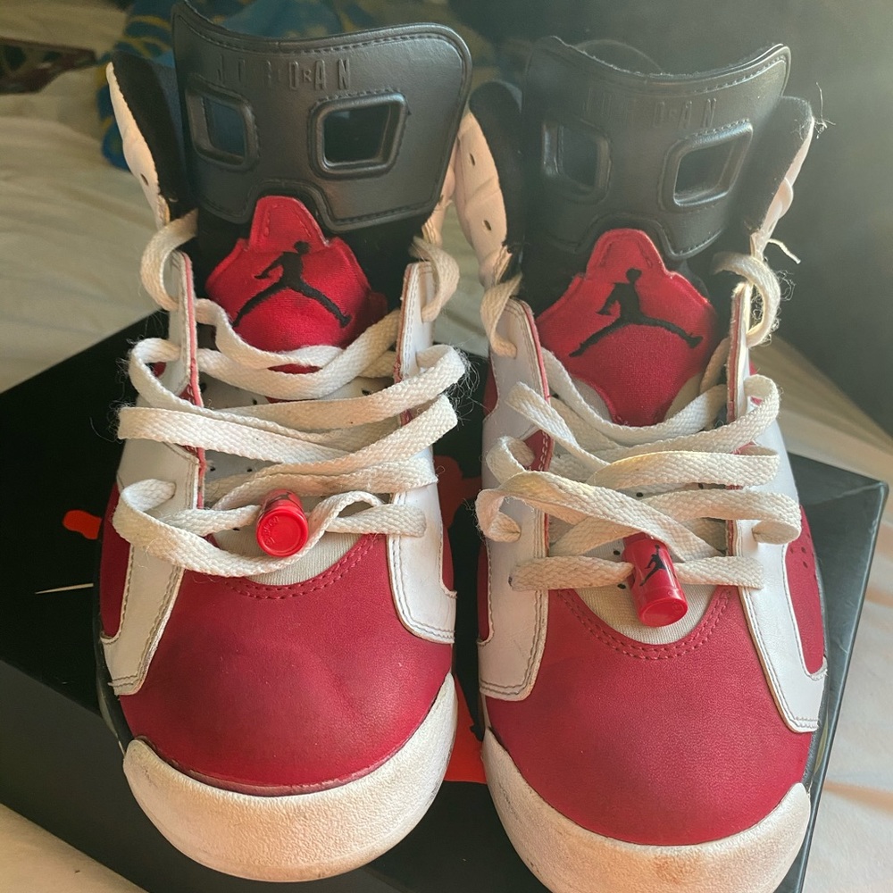 Jordan retro 6 (carmines)